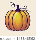 Large textured pumpkin isolated on a light background. 143848562