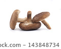Fresh Shiitake Mushrooms Isolated on White Background for Culinary and Healthy Diet Use 143848734