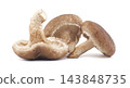 Fresh Shiitake Mushrooms Arranged on Clean White Background for Culinary Photography 143848735