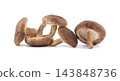 Shiitake Mushrooms Grouped Together Isolated on a Clean White Studio Background 143848736