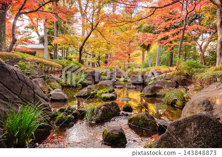大田黑公園日式庭園的秋景,染上了深紅色和金色的色彩。 大田黑公園日式庭園的秋景,染上了深紅色和金色的色彩。 143848873