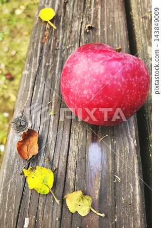 Red apple lying on rustic wooden bench with autumn leaves Red apple lying on rustic wooden bench with autumn leaves 143849009