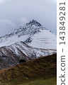 Snowy Mountain Peak with Grazing Animal on Hillside 143849281
