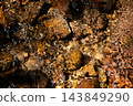Clear Water Flowing Over River Rocks 143849290