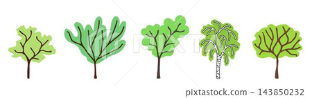 Simple color vector set. Cartoon trees of different shapes, green foliage. Forest plants, spring-summer season. Simple color vector set. Cartoon trees of different shapes, green foliage. Forest plants, spring-summer season. 143850232