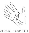 Simple vector sketch in black outline. Right hand, lines on the palm, imprint, palmistry, fortune telling. 143850331
