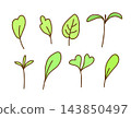 Hand-drawn simple vector doodle style drawing. Micro green sprouts set. Healthy foods, vitamins, vegetarian salad. For sticker prints, label, product design, packaging. 143850497