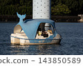 A cute whale-shaped pedal boat floating on the dream pond. 143850589