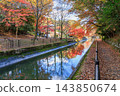 Autumn in Kyoto: Lake Biwa Canal (Yamashina Canal) and autumn leaves 143850674