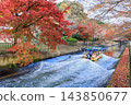 Autumn in Kyoto: Lake Biwa Canal (Yamashina Canal) and autumn leaves 143850677