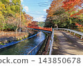 Autumn in Kyoto: Lake Biwa Canal (Yamashina Canal) and autumn leaves, including the Shosei Bridge at Honkoku-ji Temple. 143850678