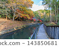 Autumn in Kyoto: Lake Biwa Canal (Yamashina Canal) and autumn leaves 143850681