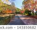 Autumn in Kyoto: Lake Biwa Canal (Yamashina Canal) and autumn leaves 143850682