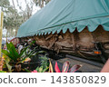 A close view shows the cracked wooden hull of an old boat beneath a green canopy. Metal straps support the damaged vessel among tropical plants and moss-covered trees. 143850829