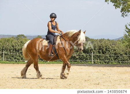 riding girl and horse riding girl and horse 143850874
