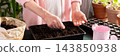A man sows tomato seeds into a seed tray at home, surrounded by gardening tools and seed packets. He is engaged in spring garden preparation, nurturing plants from seed stage, banner 143850938