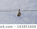 Vintage street lamp hanging on cables against cloudy sky 143851608