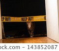 Halloween decorations in house as cat walks by 143852087