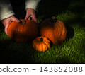 Hands grabbing Autumn orange pumpkin from grass 143852088