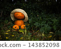 Man made from pumpkins in straw hat sits on ivy leaves 143852098