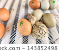 Fluffy chick resting among brown and green marked eggs on a white mesh tray, representing the birth of new life and the process of incubation in poultry farming. 143852498