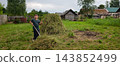 Young boy raking a pile of freshly cut hay in a green rural village yard, standing proudly with a rake and making a peace sign, symbolizing summer chores and farming childhood. 143852499