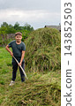 Boy standing in a rural field, holding a scythe to rake freshly cut green grass, with a large hay pile and traditional wooden house in the background. 143852503