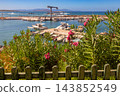 Small Marina with Fishing Boats and Pink Oleander Flowers in Chania Crete Greece 143852549