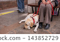 A blind woman with a guide dog waits for a train in the subway. 143852729