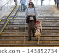 A blind woman with a guide dog descends into the subway.  143852734