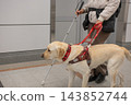 A blind woman with a guide dog waits for a train in the subway. 143852744