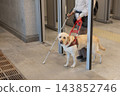 A blind woman with a guide dog in the subway.  143852746