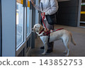 A blind woman with a guide dog is exiting the metro. 143852753