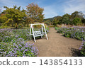 Nakanojo Gardens - Swing in the Flower Garden 143854133