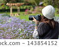 A woman photographs a field of ageratum flowers at Nakanojo Gardens. 143854152