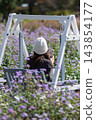 Nakanojo Gardens - Swing in the Flower Garden 143854177