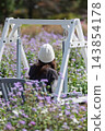 Nakanojo Gardens - Swing in the Flower Garden 143854178