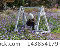 Nakanojo Gardens - Swing in the Flower Garden 143854179