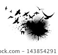 Abstract birds with ink blots. hand drawing. Not AI. Vector illustration 143854291