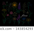 Set of elegant single-line flowers on a black background . Hand-drawn. Not AI. Vector illustration. 143854293