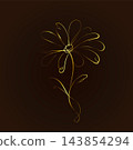 A golden chamomile flower drawn with a single line on a dark background. Hand-drawn. Not AI. Vector illustration. 143854294