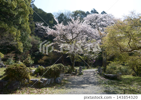 京都市左京區上高野三宅町三宅八幡宮庭園 143854320