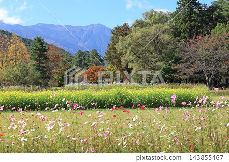 國立阿爾卑斯安曇野公園、堀根/穗高地區的秋天 國立阿爾卑斯安曇野公園、堀根/穗高地區的秋天 143855467