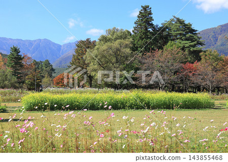 國立阿爾卑斯安曇野公園、堀根/穗高地區的秋天 國立阿爾卑斯安曇野公園、堀根/穗高地區的秋天 143855468