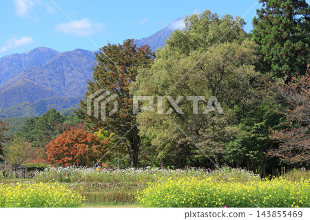 國立阿爾卑斯安曇野公園、堀根/穗高地區的秋天 國立阿爾卑斯安曇野公園、堀根/穗高地區的秋天 143855469