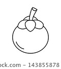 delima fruit coloring illustration 143855878