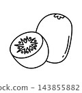kiwi outline fruit 143855882