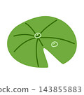 lily pad illustration with water droplet 143855883