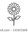 simple flower coloring page 143855888
