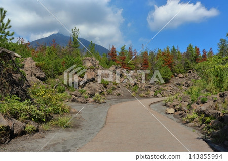 從有村熔岩觀測站看到的櫻島火山（鹿兒島縣鹿兒島市） 143855994